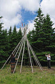 Tipi